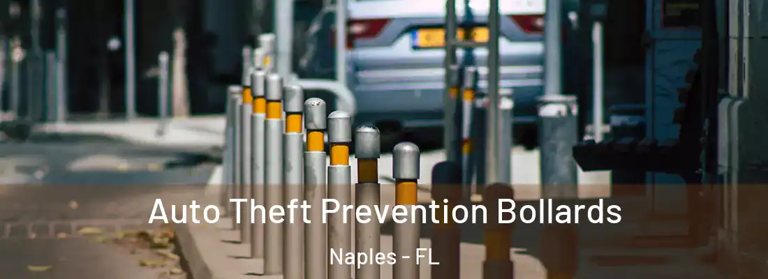  Auto Theft Prevention Bollards Naples - FL