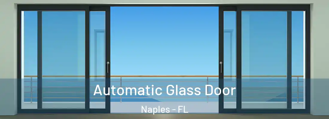  Automatic Glass Door Naples - FL