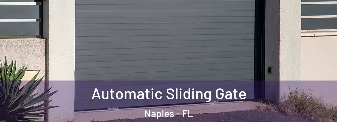  Automatic Sliding Gate Naples - FL