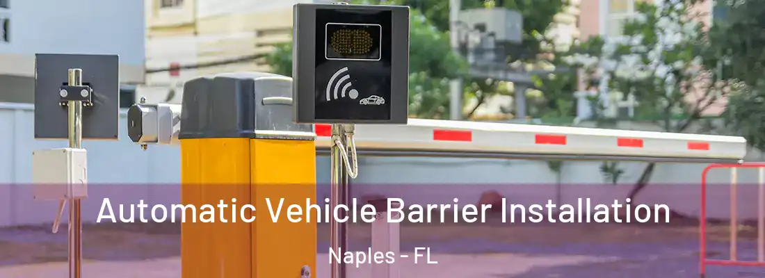  Automatic Vehicle Barrier Installation Naples - FL