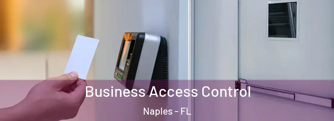  Business Access Control Naples - FL