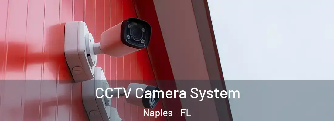  CCTV Camera System Naples - FL