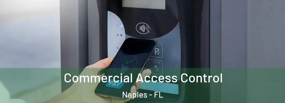  Commercial Access Control Naples - FL
