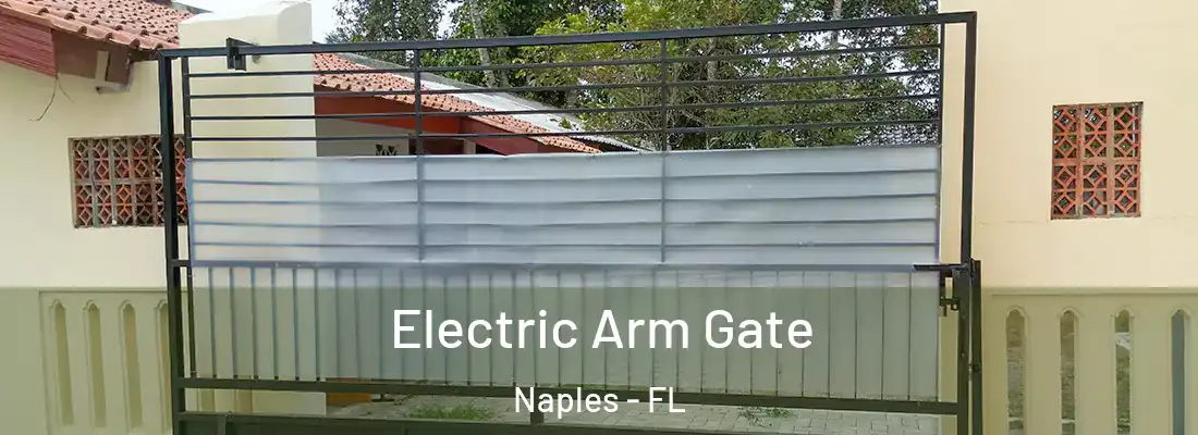  Electric Arm Gate Naples - FL