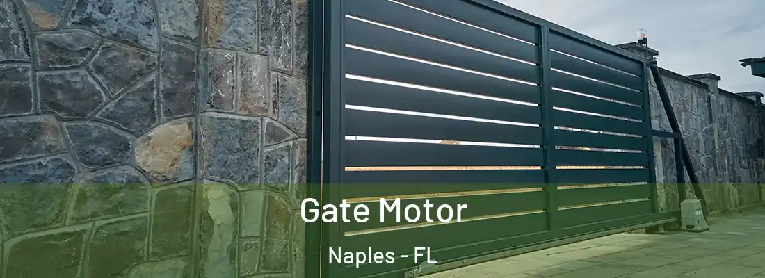  Gate Motor Naples - FL