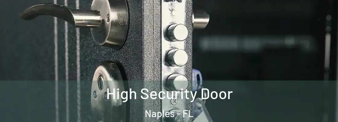 High Security Door Naples - FL