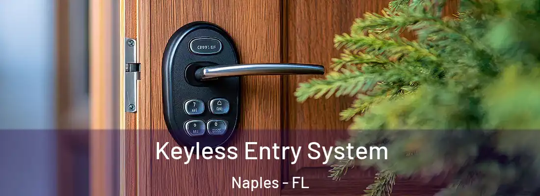  Keyless Entry System Naples - FL