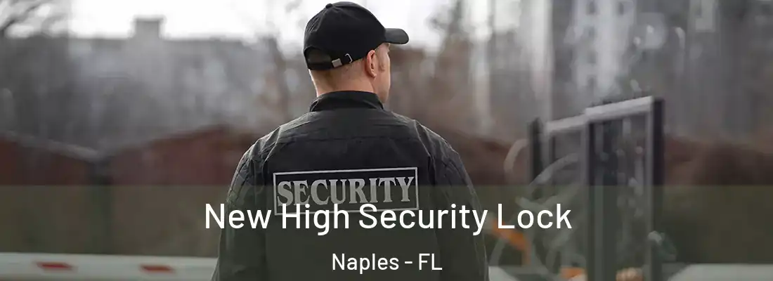  New High Security Lock Naples - FL
