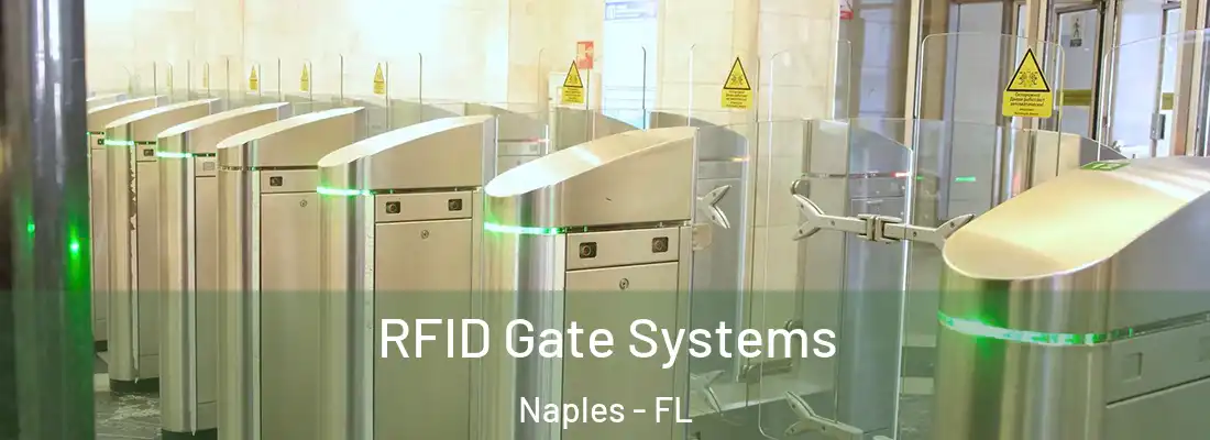 RFID Gate Systems Naples - FL