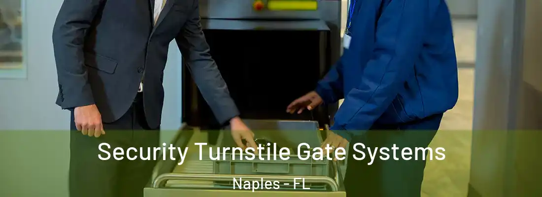  Security Turnstile Gate Systems Naples - FL